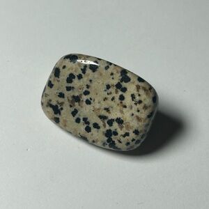 Polished Dalmatian Jasper